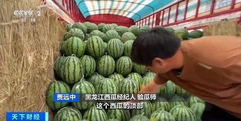 中公吃瓜,揭秘娱乐圈幕后故事