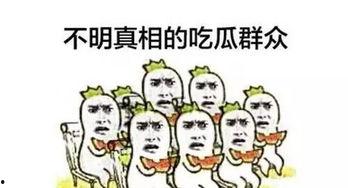 吃狗粮的吃瓜群众,吃瓜群众的热议焦点