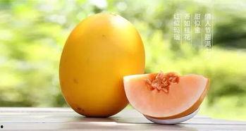 吃蜜瓜胖吗,吃蜜瓜真的会胖吗？