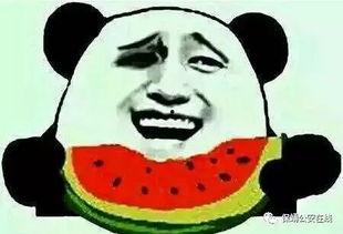 吃瓜被人打伤,被打伤事件引发社会关注