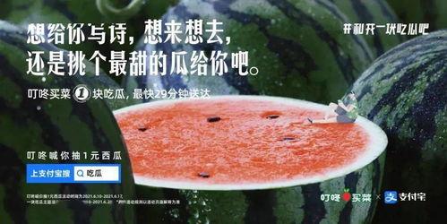 大勺子吃瓜文案,揭秘娱乐圈幕后故事