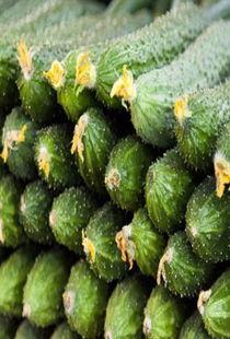 网络上吃瓜好吗,揭秘虚拟世界的围观文化