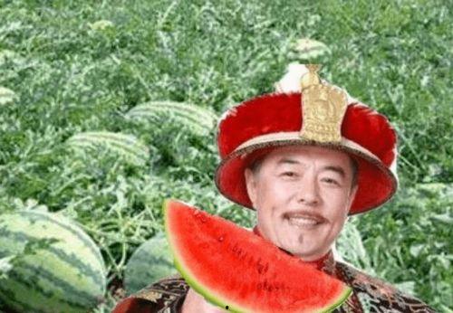 宫中吃瓜,揭秘宫中吃瓜背后的权力斗争