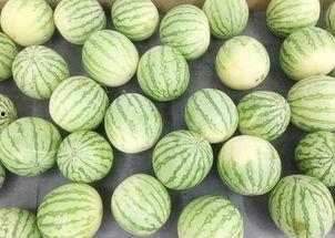 吃瓜吃的真上头,揭秘网络热议背后的真相与趣味