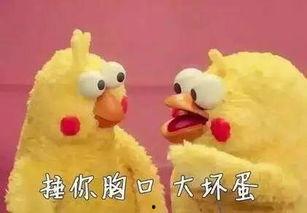 吃瓜群众被忽悠,揭秘“吃瓜群众”被骗背后的真相