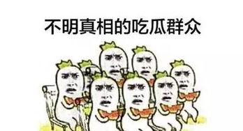 吃狗粮的吃瓜群众