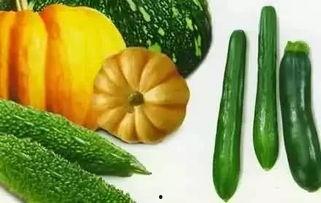 吃瓜成,揭秘娱乐圈背后的那些事儿