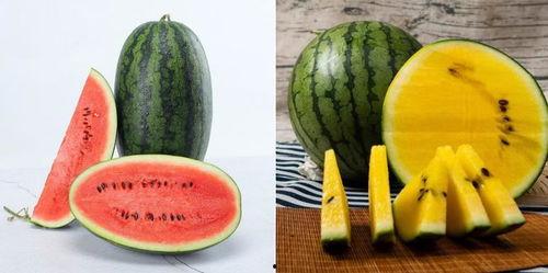 吃421的瓜,一场网络热议背后的真相与反思