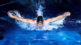 成人游泳拍照技巧图解视频,成人游泳拍照技巧图解视频精华