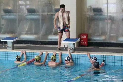 成人游泳拍照技巧图解视频,成人游泳拍照技巧图解视频精华