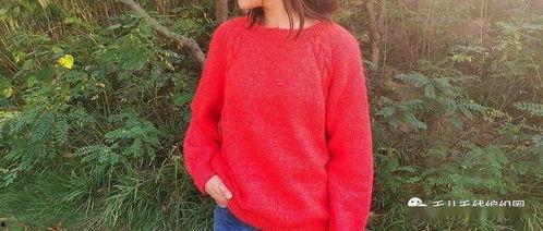 成人毛衣编织教程视频,轻松学会编织成人毛衣的技巧与步骤