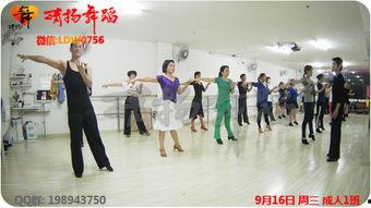 成人培训班上课视频,精彩瞬间与知识精华回顾