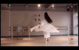 妞妞成人舞蹈教程视频,轻松入门，舞动人生