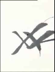 成人练字全集视频大全,从零基础到书法大师的蜕变之旅