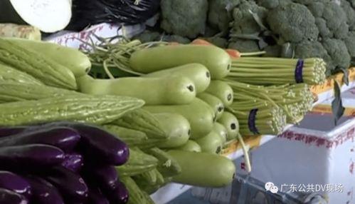 葫芦一瓜两吃,创意烹饪新风尚