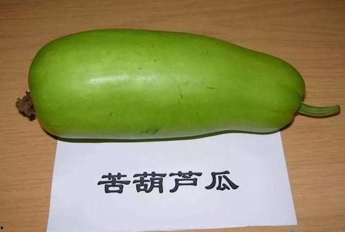 葫芦一瓜两吃,创意烹饪新风尚