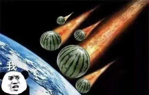 伤感文案吃瓜的句子,伤感文案中的瓜味人生