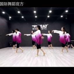 成人舞动的旋律舞蹈视频,探寻成人舞蹈的魅力之旅