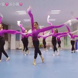 成人舞动的旋律舞蹈视频,探寻成人舞蹈的魅力之旅