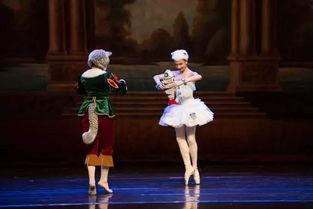 成人独舞剧目经典视频,经典成人独舞剧目视频赏析