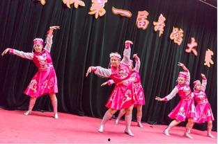 成人独舞剧目经典视频,经典成人独舞剧目视频赏析