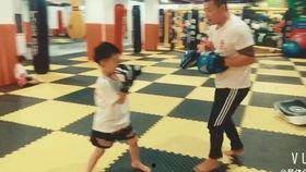 成人散打班日常训练视频,汗水铸就强身健体之路