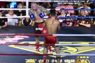 成人散打班日常训练视频,汗水铸就强身健体之路