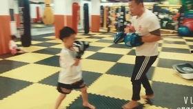 搏击成人花样训练视频,解锁身心潜能的动感之旅