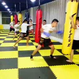 搏击成人花样训练视频,解锁身心潜能的动感之旅