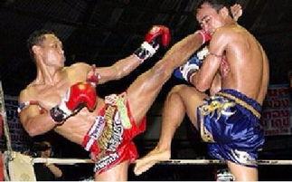 搏击成人花样训练视频,解锁身心潜能的动感之旅