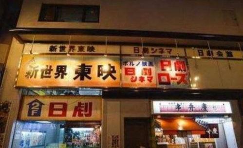 石榴成人影院视频,激情四溢的视觉盛宴