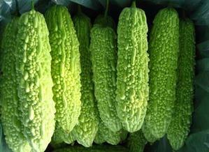 减肥可以吃贝贝瓜不,减肥期间的理想瓜果选择