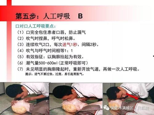 成人急救知识科普视频,守护生命安全——成人急救知识科普视频概览