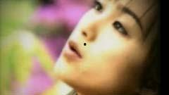 酒井法子成人免费视频,揭秘娱乐圈的隐秘角落