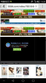 成人sq视频播放器,全新视觉体验的引领者