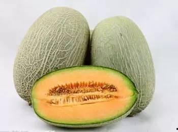 吃瓜不甜全部小说,穿越时空的甜蜜冒险