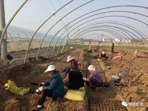 界首吃瓜什么梗,揭秘网络热梗背后的故事与影响