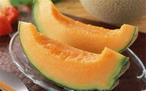 豹龟吃哈密瓜,哈密瓜的奇妙滋味之旅