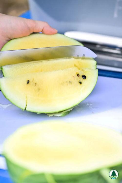 九龙吃瓜,揭秘吃瓜群众的狂欢盛宴