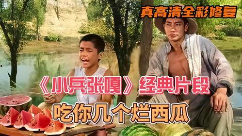 吃瓜的片段,揭秘吃瓜群众的趣味生活片段