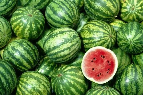 梦见自己买大角瓜吃,揭秘买大角瓜吃的神秘寓意