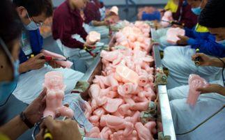 用猪肉制作成人用品视频