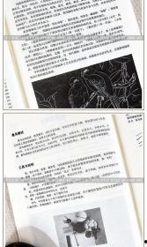 成人速成画教程图片视频