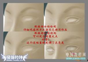 成人速成画教程图片视频