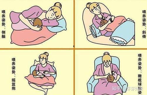 成人母乳喂养姿势视频,成人母乳喂养姿势视频解析
