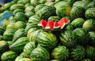 西瓜造型成人教程视频,跟随教程视频打造独特西瓜造型