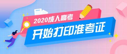 成人高考短视频运营,轻松学习新篇章