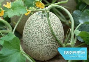 吃哈密瓜血糖,美味与健康的平衡之道