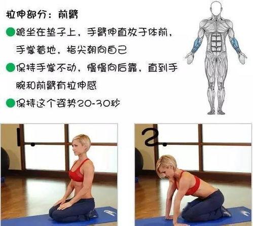 成人拉伸方法图解视频,轻松掌握全身舒展技巧