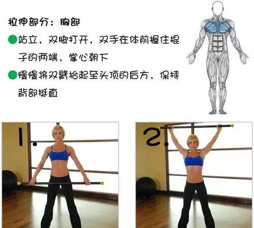 成人拉伸方法图解视频,轻松掌握全身舒展技巧